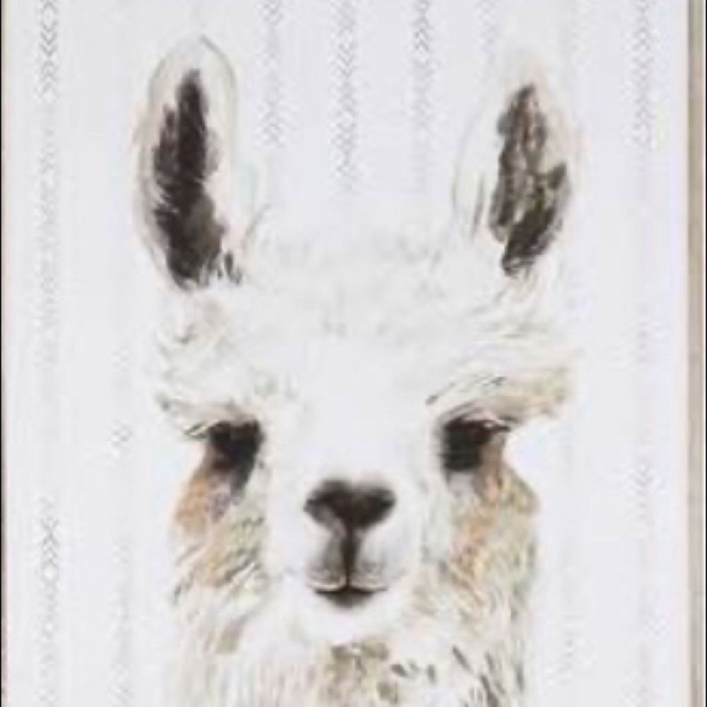 Meet your Posher, Brooklynn